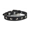 COLLAR PIEL C/ESTOPEROLES 3CM T22 NEGRO