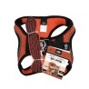 SET ARNES Y CORREA SPORTIE CH NARANJA