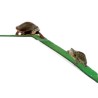PLATAFORMA PARA TORTUGAS 44 X 15 CM.