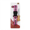 COLLAR DOG CON PLAQUITA