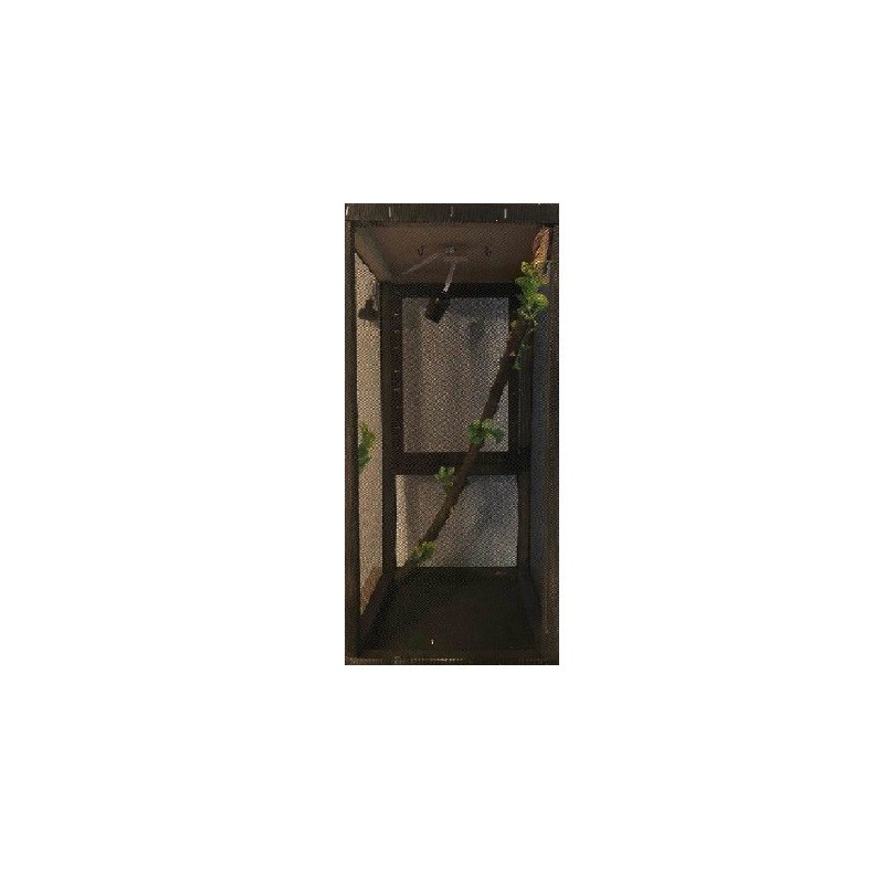 IGUANARIO MED FERI 30X30X60CM NEGRO