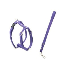 JUEGO DE CORREA Y PECHERA FERRIONI No1 ECO CHIHUAHUA