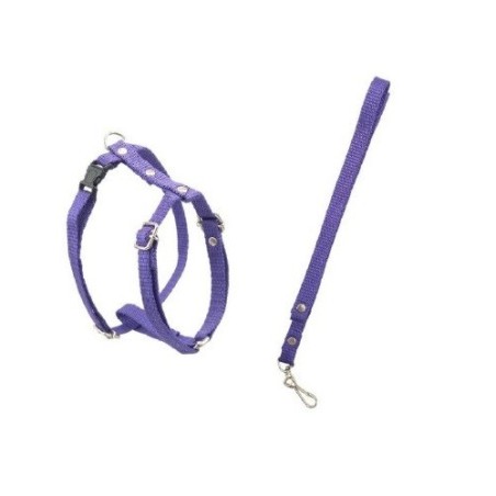 JUEGO DE CORREA Y PECHERA FERRIONI No1 ECO CHIHUAHUA