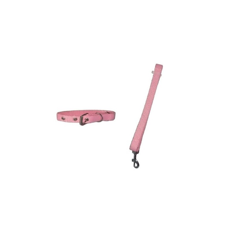 JUEGO CORREA Y COLLAR NYLON 1.5CM. MINI