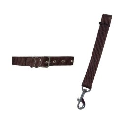 JUEGO CORREA Y COLLAR NYLON 2.5CM. MED.