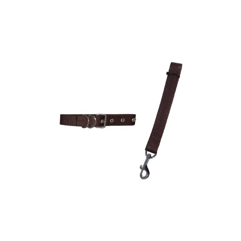 JUEGO CORREA Y COLLAR NYLON 2.5CM. MED.