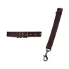 JUEGO CORREA Y COLLAR NYLON 2.5CM. MED.