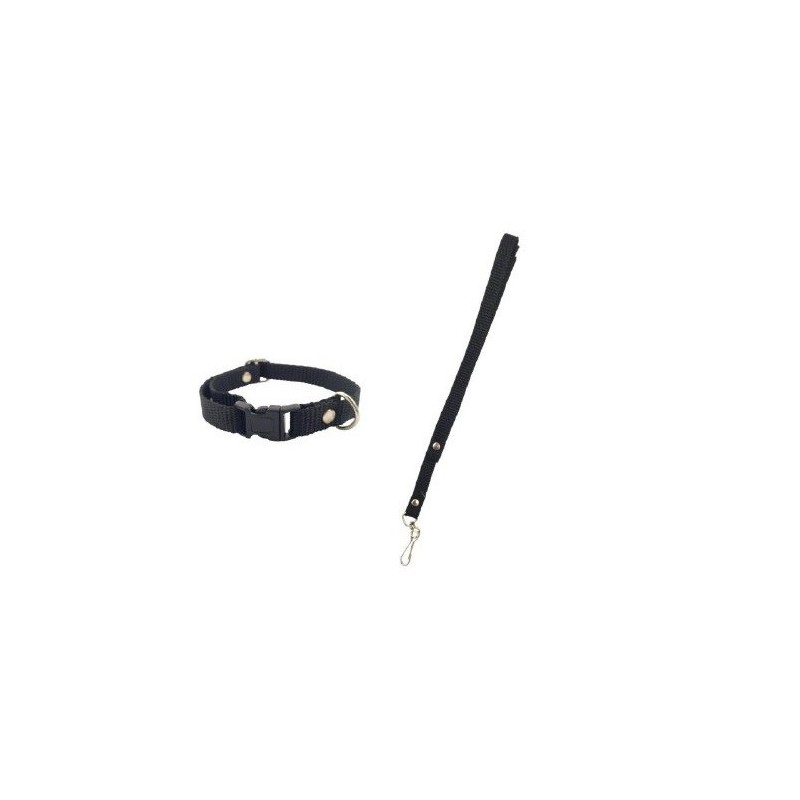 JUEGO DE CORREA Y COLLAR NYLON No 1 ECO CHIHUAHUA