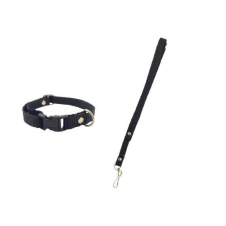 JUEGO DE CORREA Y COLLAR NYLON No 1 ECO CHIHUAHUA