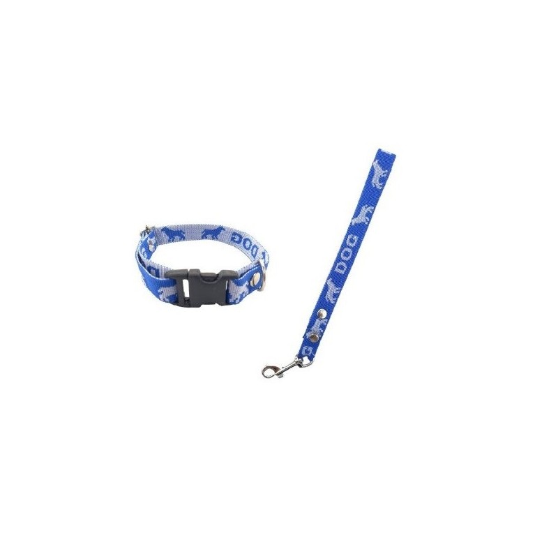 JUEGO DE CORREA Y COLLAR NYLON No 2 ECO MEDIANO