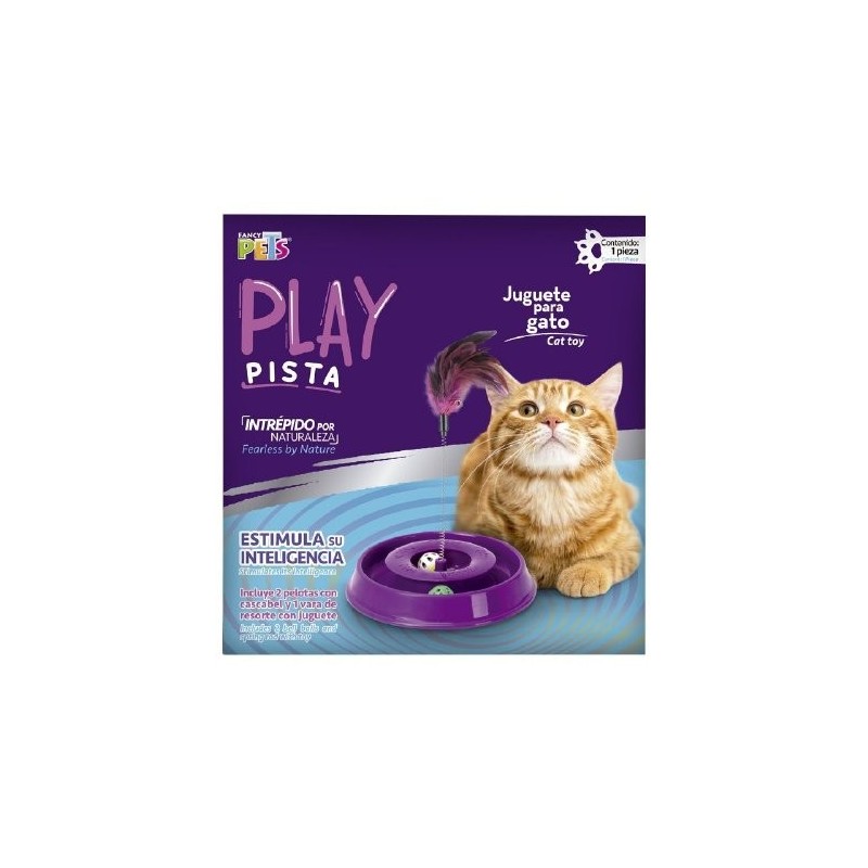 JUGUETE PISTA PLAY