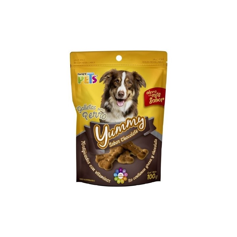 YUMMY SABOR CHOCOLATE 100 GRS.