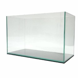 PECERA DE CINTA 35CM.