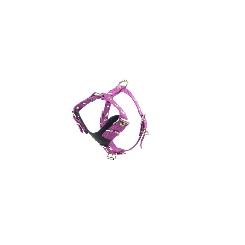 PECHERA PUPPY CHICA