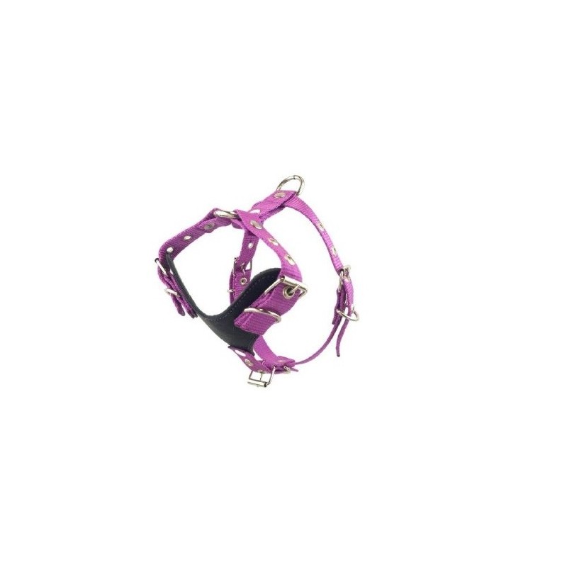 PECHERA PUPPY MINI