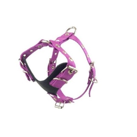 PECHERA PUPPY MINI