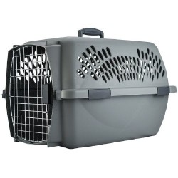 TRANSPORTADORA PET TAXI INTERMEDIA
