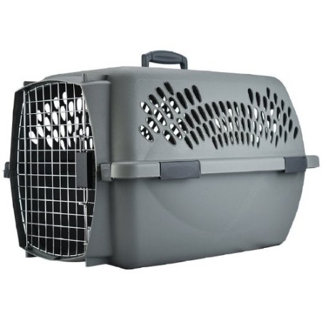 TRANSPORTADORA PET TAXI INTERMEDIA