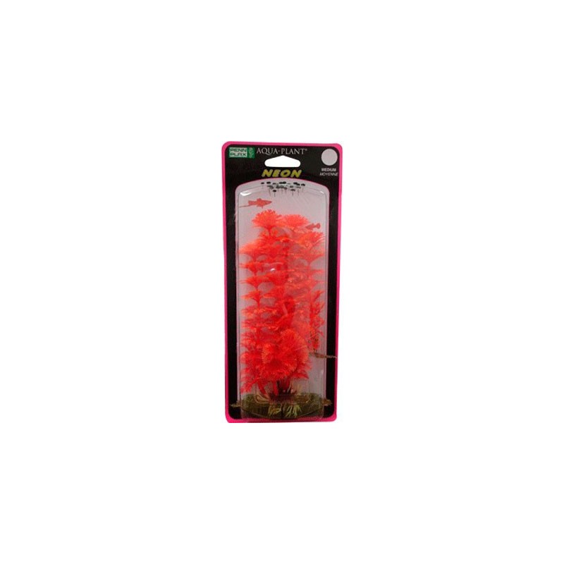 PLANTA AMBULIA ROJA/AZUL CH. NEON
