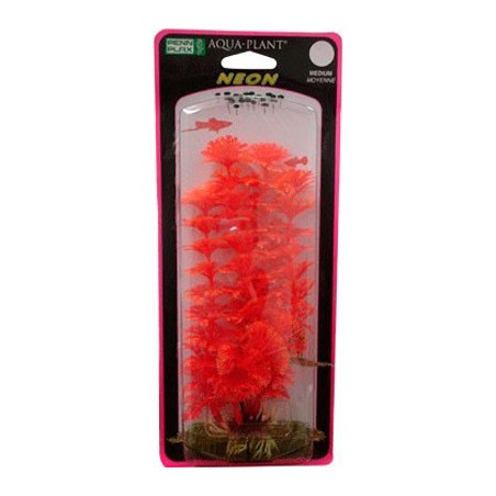 PLANTA AMBULIA ROJA/AZUL CH. NEON
