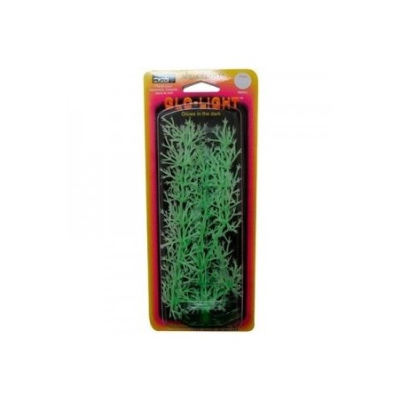 PLANTA NITELLA 18 CMS. GLOW CH.