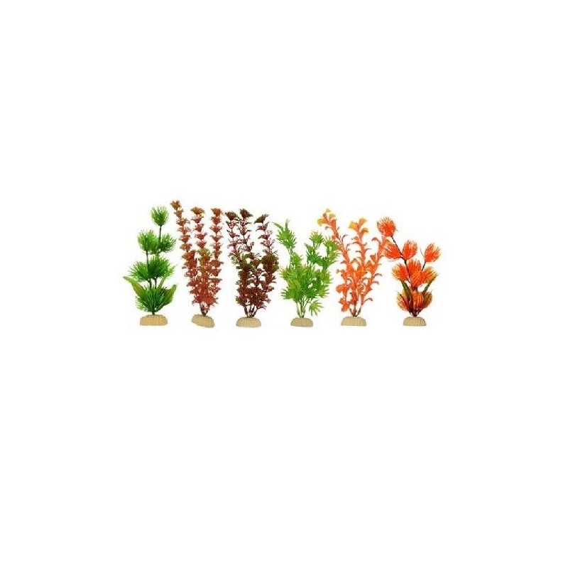 PLANTA SUNNY IMP BOLSA NARANJA 8  6 PZAS