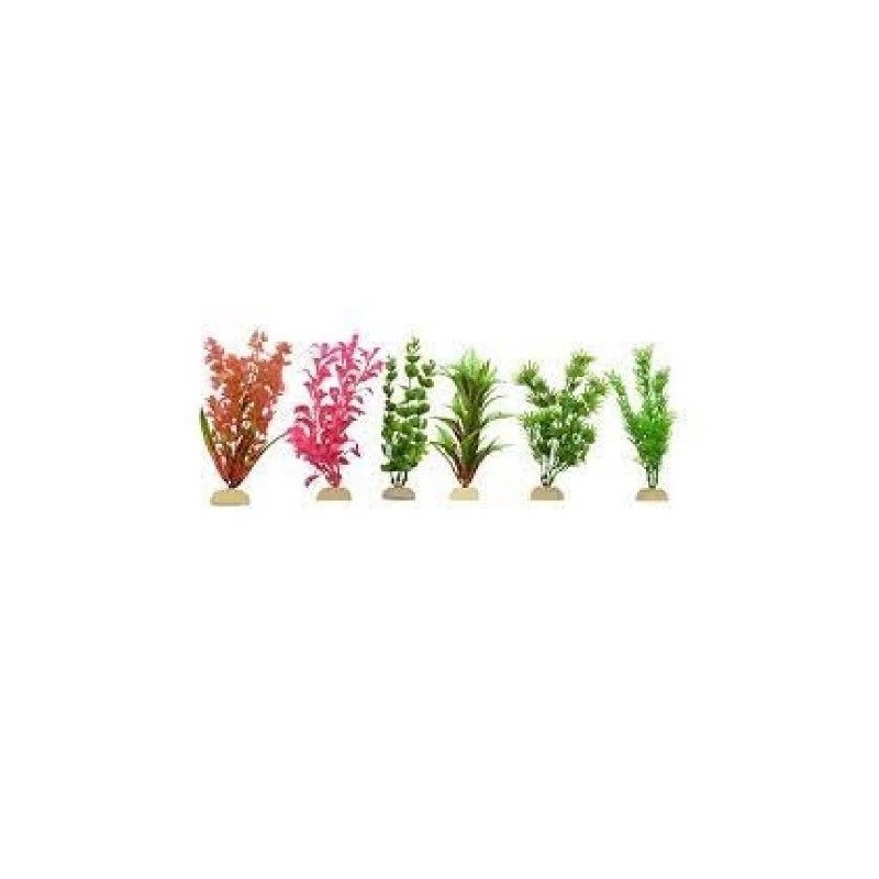 PLANTA SUNNY IMP BOLSA VERDE 8  6 PZAS
