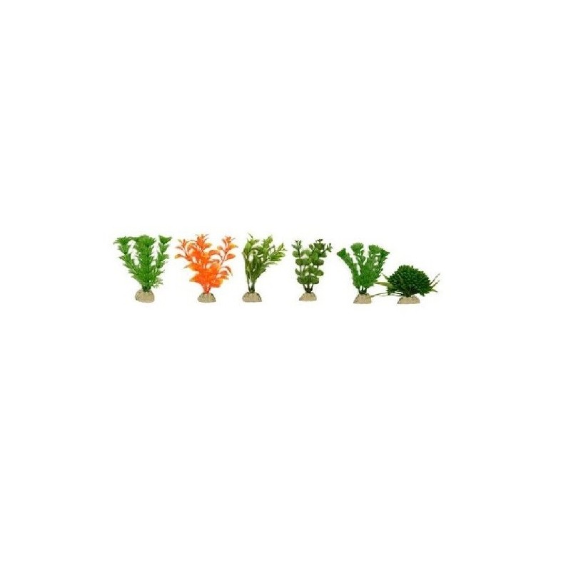 PLANTA SUNNY MINI SURTIDA 2  10 PZAS.