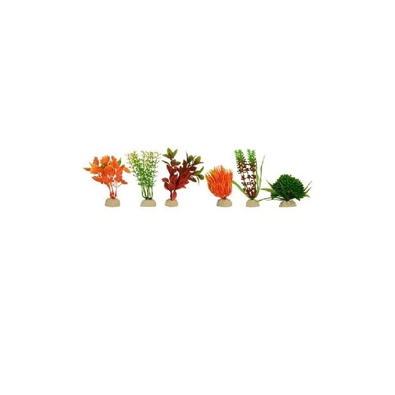 PLANTA SUNNY MINI SURTIDA 2 10PZAS