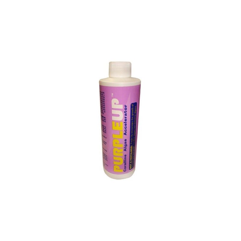 PURPLE UP 227 ML.
