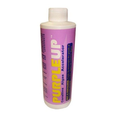PURPLE UP 227 ML.