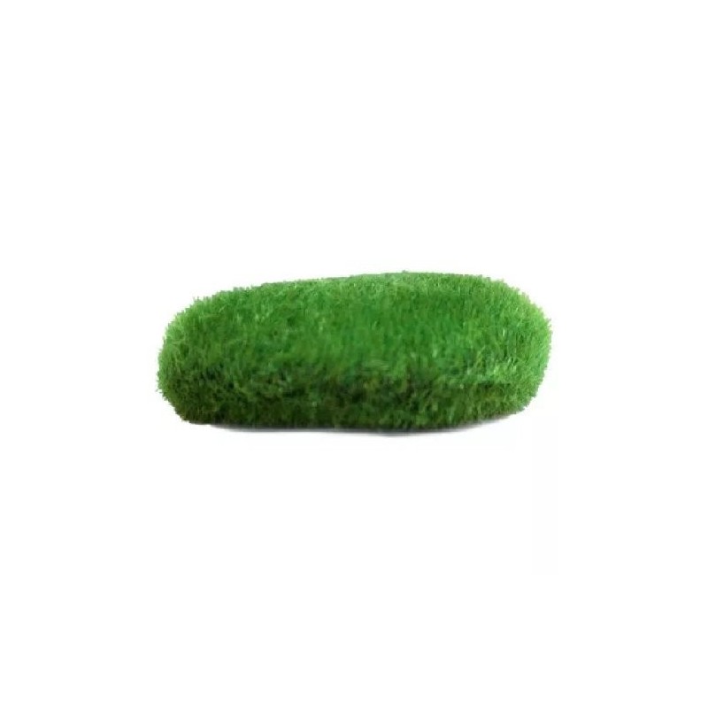ROCA MUSGO MEDIANA