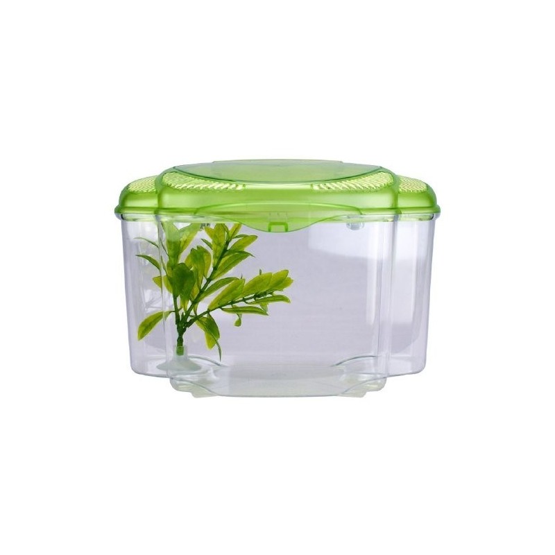 BETTA KIT VERDE 0.5GAL (1.8L)