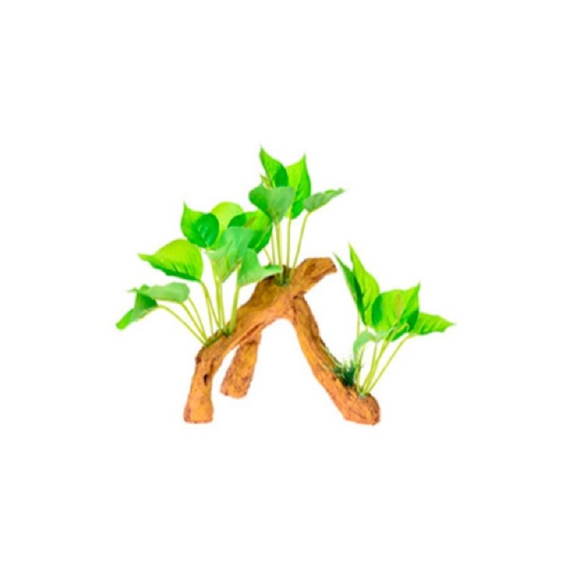 RAIZ C/PLANTAS #4 17X9X15CM