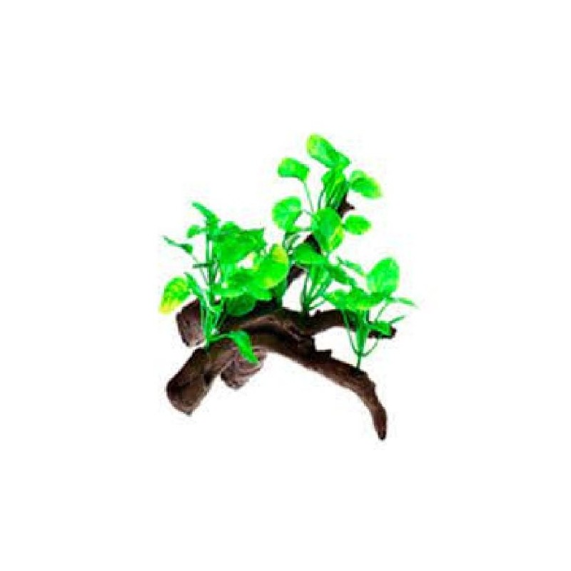RAIZ C/PLANTAS #2 13X10X14CM