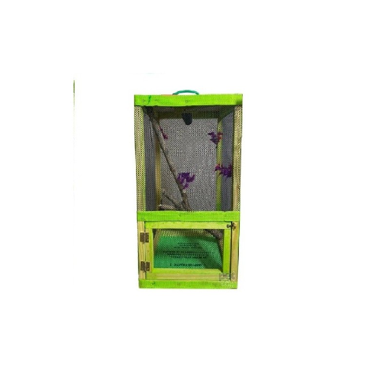 IGUANARIO CHICO FERI 30X30X50CM VERDE