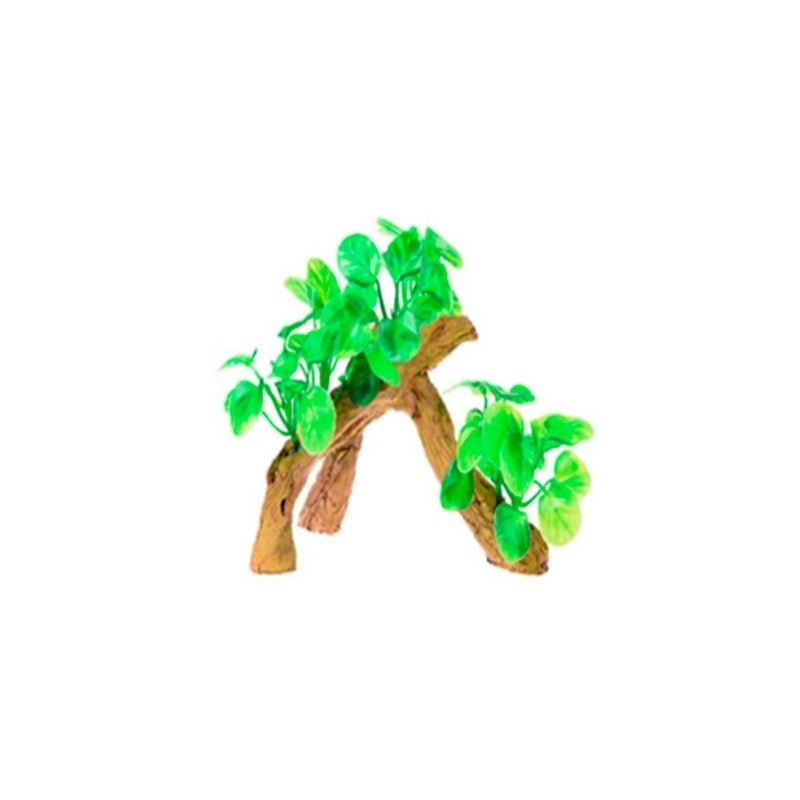 RAIZ C/PLANTAS #6 17X9X15CM