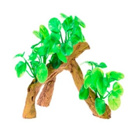 RAIZ C/PLANTAS #6 17X9X15CM