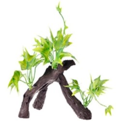 RAIZ C/PLANTAS #5 17X9X15CM