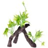 RAIZ C/PLANTAS #5 17X9X15CM