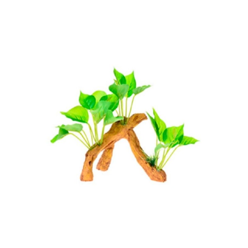 RAIZ C/PLANTAS #7 17X9X15CM