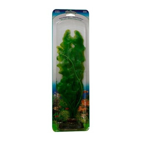 PLANTA ROSAL ESP/VALISNERIA 33 CMS.