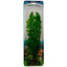 PLANTA ROSAL ESP/VALISNERIA 33 CMS.