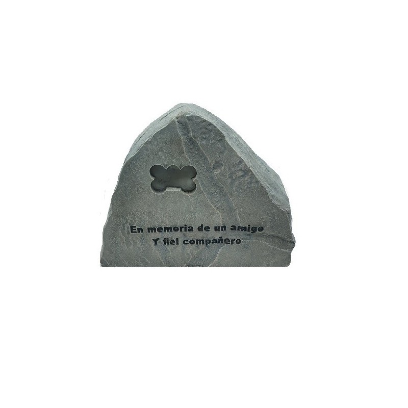 AD. CONMEMORATIVO CHICO