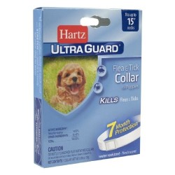 COLLAR ANTPLGS  2EN1 CACH/7 MESES
