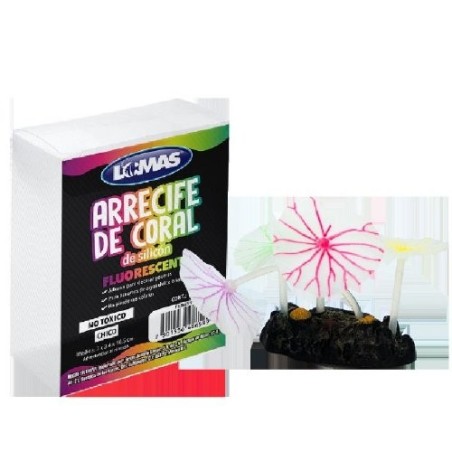 ARREC DE CORAL FLUOREC. CHICO F.P.