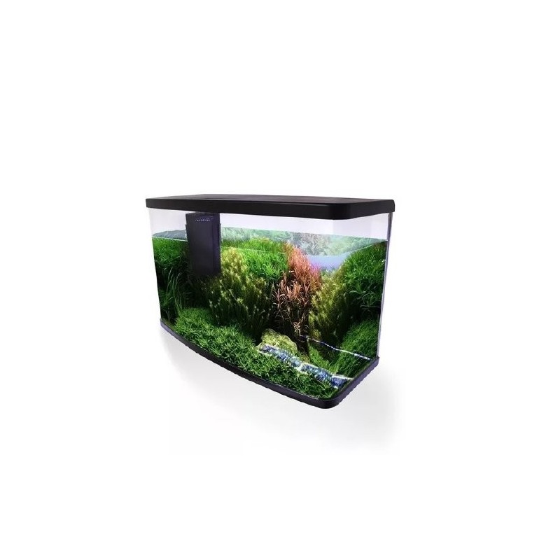 ACUARIO VISION RESUN