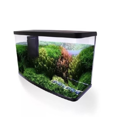 ACUARIO VISION RESUN