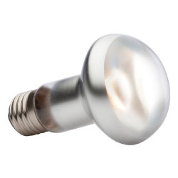 FOCO EXO TER SUN GLO TIGHT BE 50W
