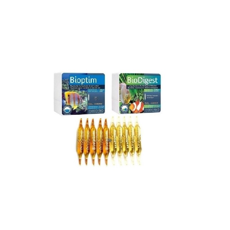 BACTERIA BIODIGEST 30 AMPOLLETAS